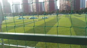 Cheap Economical Soccer Cage Sports Field Soft Nets Football Training Field Rope Nets