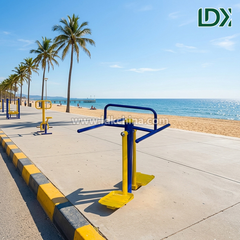 LDK Outdoor Fitness Equipment Surfboard and Double Swing Board for Public Park and Community Health Projects