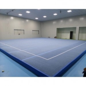 Gymnastic field for competition  / Free exercise floor for competition / Rhythmic gymnastic field for competition