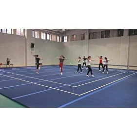 Gymnastic field for training  / Free exercise floor for training / Rhythmic gymnastic field for training