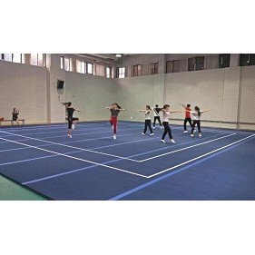 Campo di ginnastica per l'allenamento / pavimento di esercizio libero per l'allenamento / campo ginnastico ritmico per l'allenamento