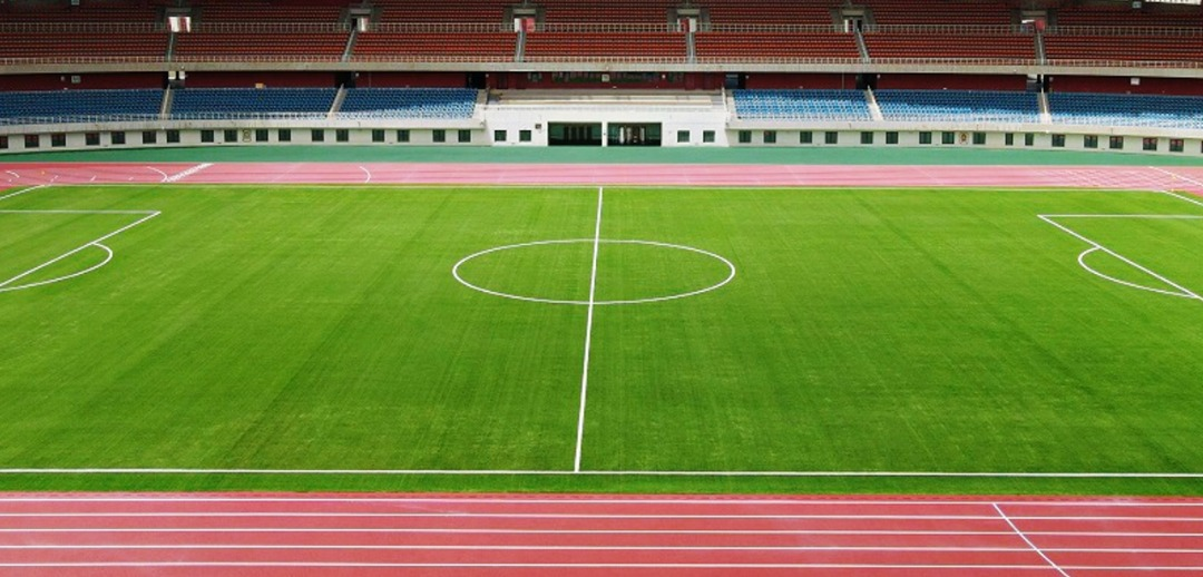 Professional Football Artificial Grass for Stadium and Training Fields