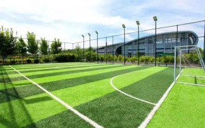 Full Set Of Soccer Equipment Football Pitch/Customized 5 7s Soccer Pitch