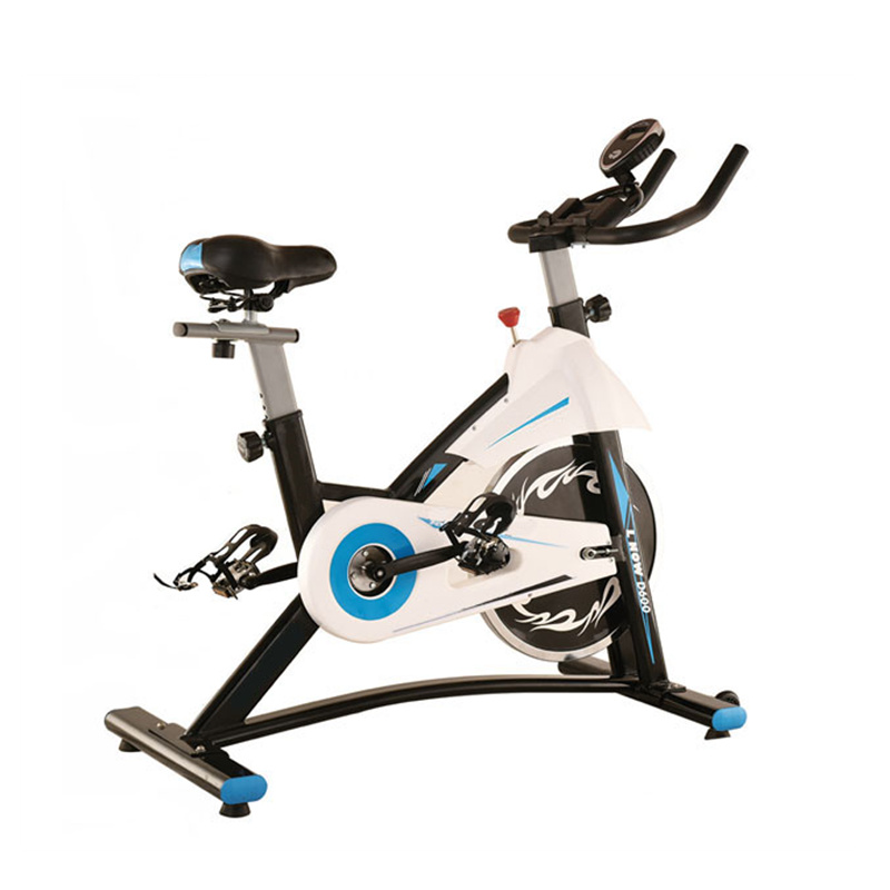 Life Fitness EXW Spinning Bike Indoor Cycling Exercise Magnetic Flywheel Spin Bike For Body Building