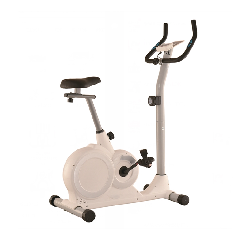 Professional Magnetic Resistance Spinning Bike Gym Fitness Spinning Bicycle Ultra-quiet Office Exercise Bike
