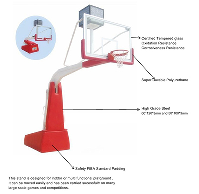 What training is needed to become a professional basketball player