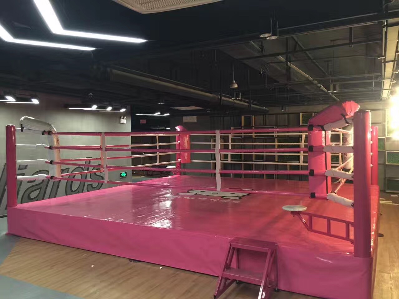 Customize International Standard Floor Boxing Ring Wrestling Elavated Boxing Ring For Competition