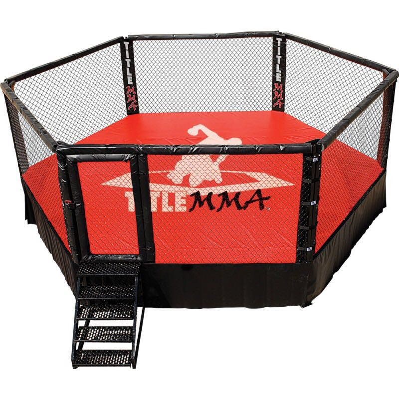 OEM/ODM China Gymnastics Floor For Sale - Customize Inflatable Boxing Wrestling Ring Pro Boxing Ring Cover Octagon MMA Boxing Cage – LDK