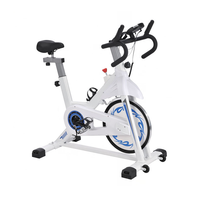 China Factory for Spin Bike With Resistance Lever -
 Wholesale Gym Equipment Indoor Spinning Bike Home Use Portable Exercise Lose Weight Silent Spin Bike – LDK