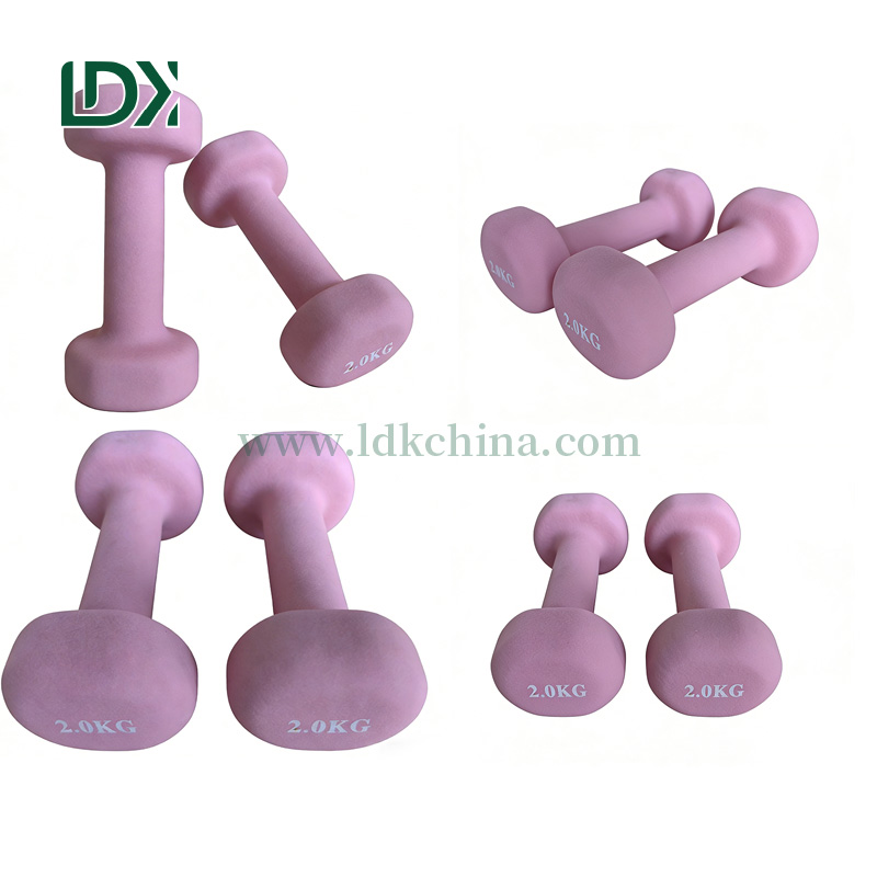 High Quality Complete Set of Machine for Chest Press Strength Training High and Low Back Extension Gym Equipment