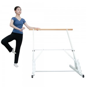 LDK China Suppliers Trainers Portable Ballet Barre Gym Fitness Equipment Ballet Bar