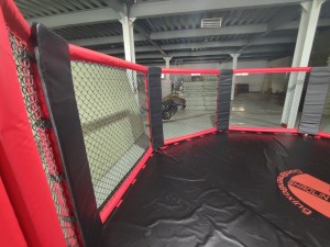 Professional Customer Design Professional Octagon MMA Cage Boxing Ring With Low Price