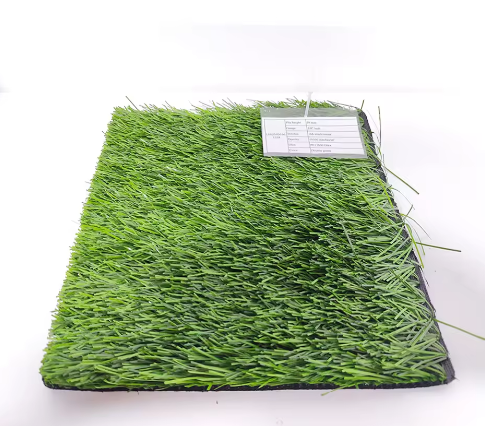 微信图片_20260121173633_273_3